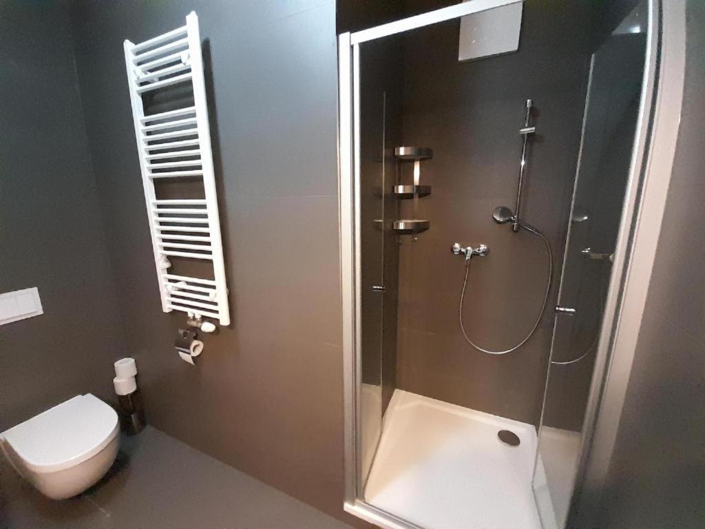 Entrez Radnica Apartment โกชิเซ ภายนอก รูปภาพ