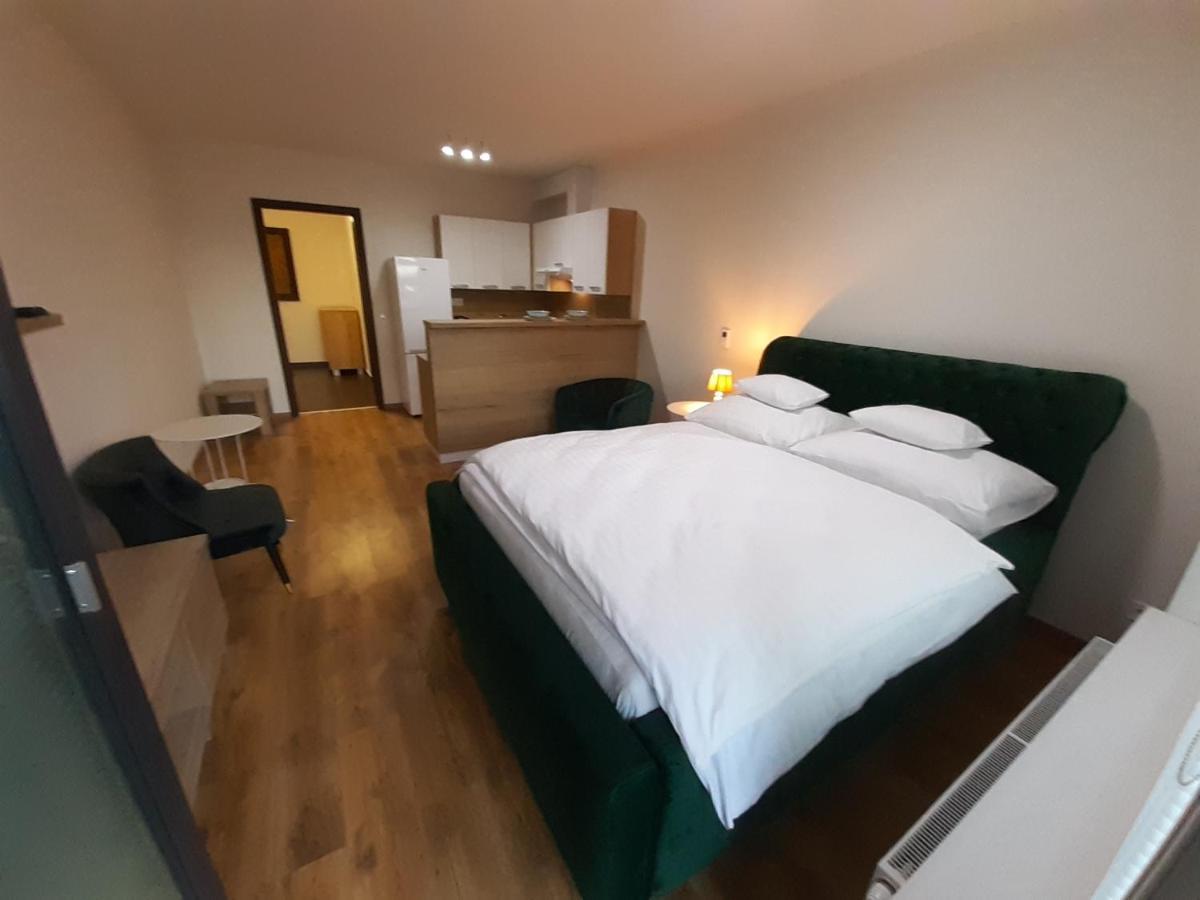 Entrez Radnica Apartment โกชิเซ ภายนอก รูปภาพ